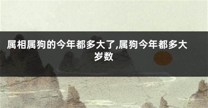 属相属狗的今年都多大了,属狗今年都多大岁数