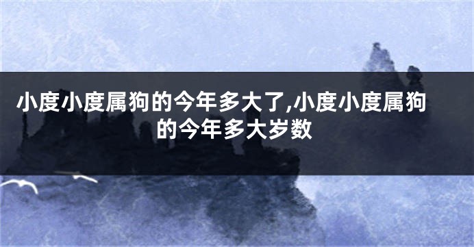 小度小度属狗的今年多大了,小度小度属狗的今年多大岁数