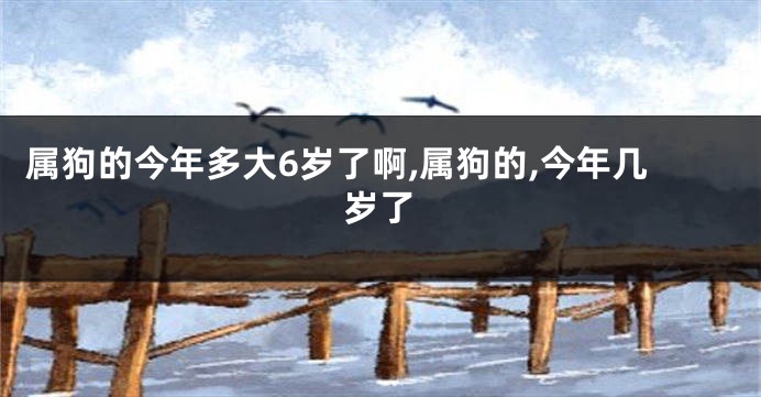 属狗的今年多大6岁了啊,属狗的,今年几岁了