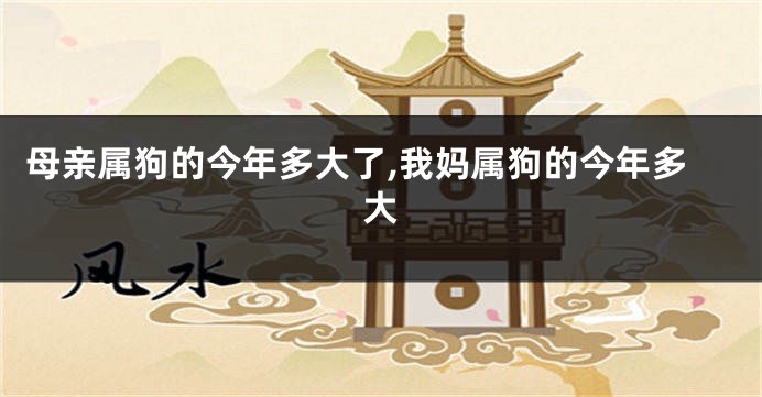 母亲属狗的今年多大了,我妈属狗的今年多大