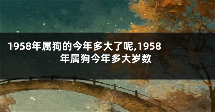 1958年属狗的今年多大了呢,1958年属狗今年多大岁数