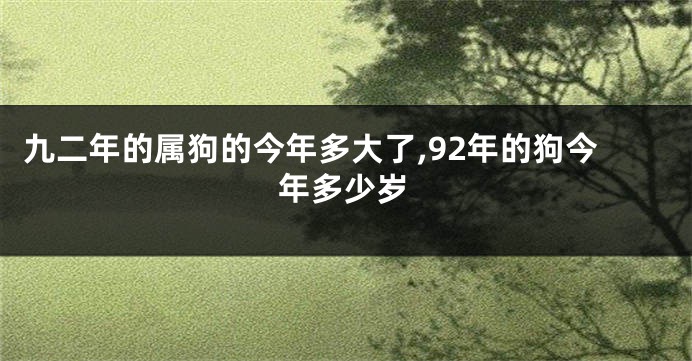 九二年的属狗的今年多大了,92年的狗今年多少岁