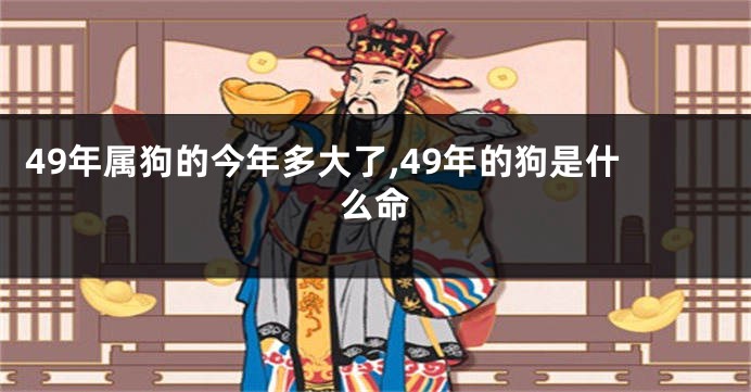 49年属狗的今年多大了,49年的狗是什么命