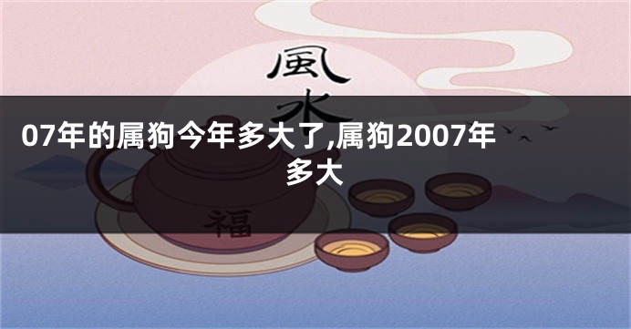 07年的属狗今年多大了,属狗2007年多大