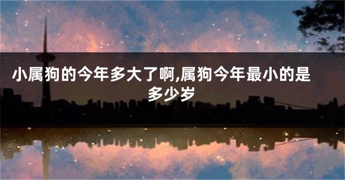 小属狗的今年多大了啊,属狗今年最小的是多少岁