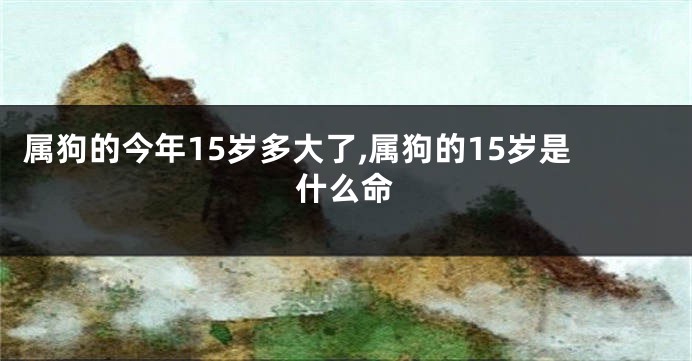 属狗的今年15岁多大了,属狗的15岁是什么命