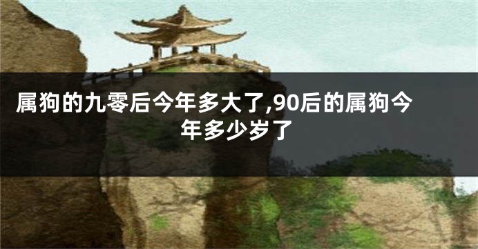 属狗的九零后今年多大了,90后的属狗今年多少岁了