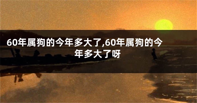60年属狗的今年多大了,60年属狗的今年多大了呀