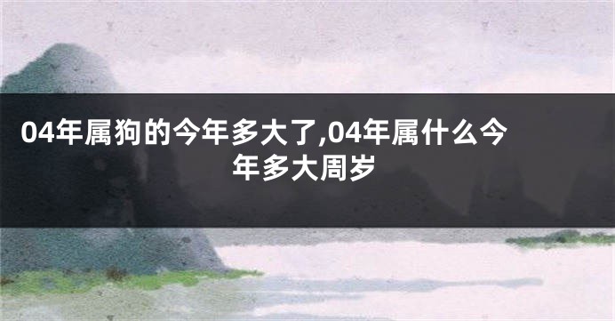 04年属狗的今年多大了,04年属什么今年多大周岁