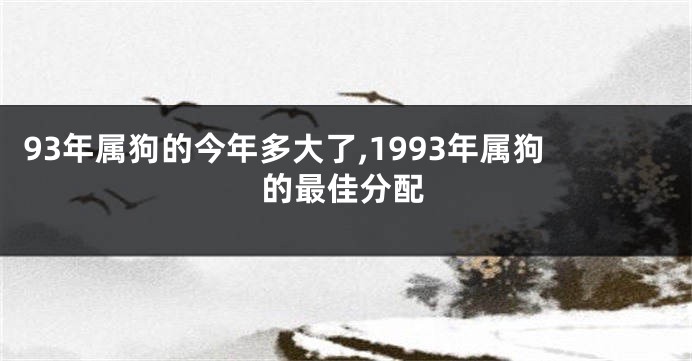93年属狗的今年多大了,1993年属狗的最佳分配
