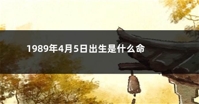 1989年4月5日出生是什么命