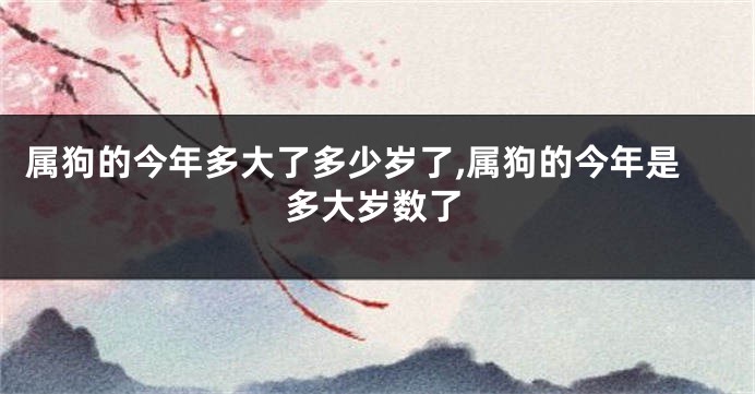 属狗的今年多大了多少岁了,属狗的今年是多大岁数了