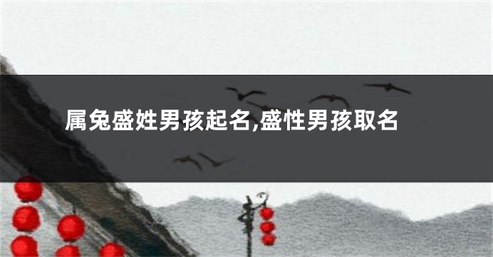 属兔盛姓男孩起名,盛性男孩取名