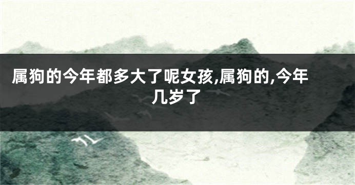 属狗的今年都多大了呢女孩,属狗的,今年几岁了
