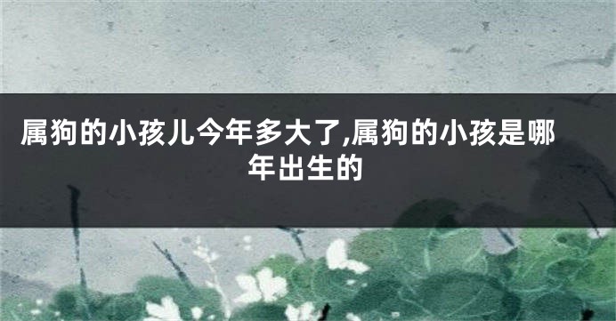属狗的小孩儿今年多大了,属狗的小孩是哪年出生的