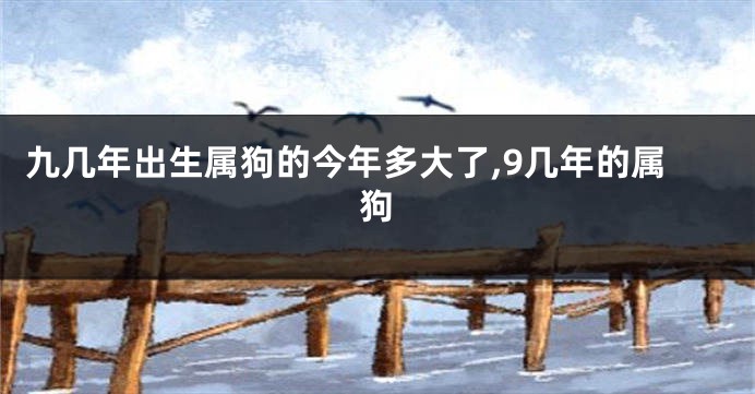 九几年出生属狗的今年多大了,9几年的属狗