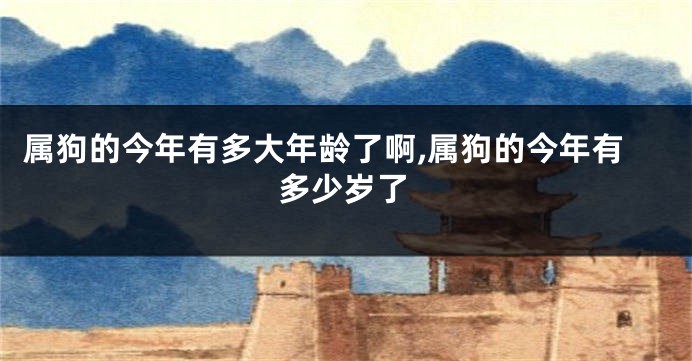 属狗的今年有多大年龄了啊,属狗的今年有多少岁了