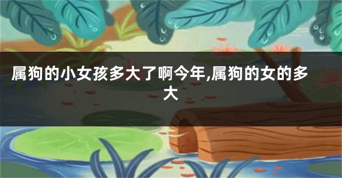 属狗的小女孩多大了啊今年,属狗的女的多大