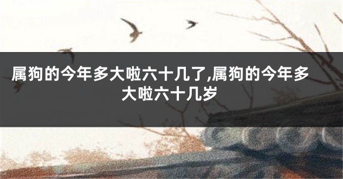 属狗的今年多大啦六十几了,属狗的今年多大啦六十几岁