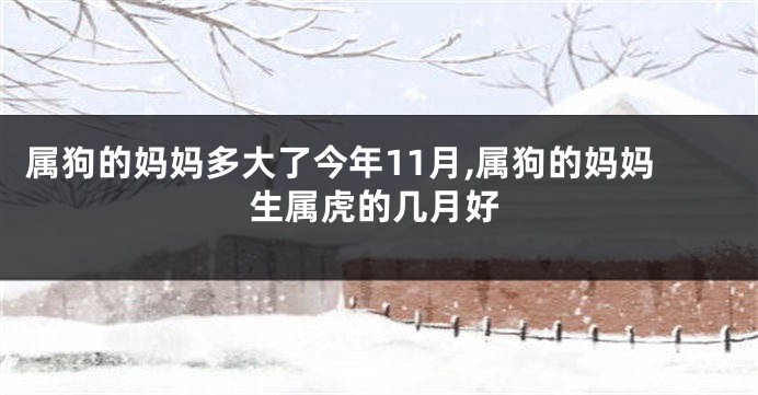 属狗的妈妈多大了今年11月,属狗的妈妈生属虎的几月好