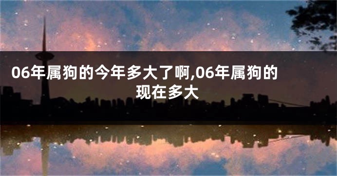 06年属狗的今年多大了啊,06年属狗的现在多大