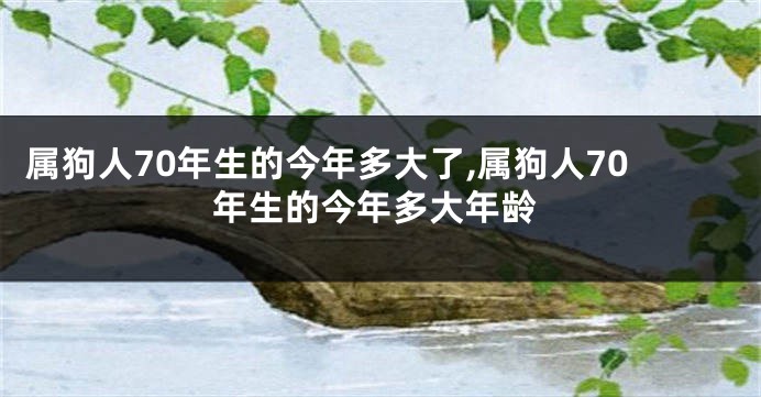 属狗人70年生的今年多大了,属狗人70年生的今年多大年龄