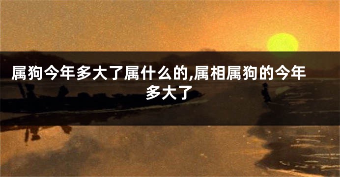 属狗今年多大了属什么的,属相属狗的今年多大了
