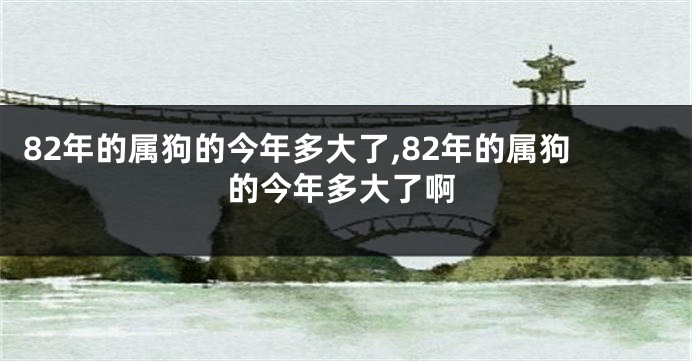 82年的属狗的今年多大了,82年的属狗的今年多大了啊