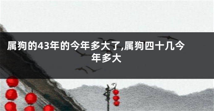 属狗的43年的今年多大了,属狗四十几今年多大