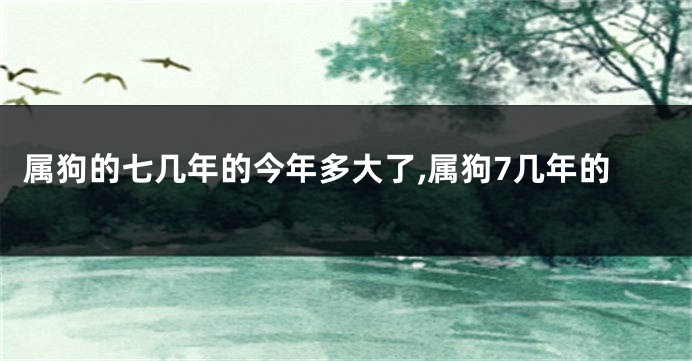 属狗的七几年的今年多大了,属狗7几年的