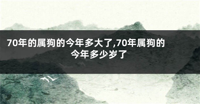 70年的属狗的今年多大了,70年属狗的今年多少岁了