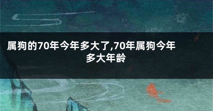 属狗的70年今年多大了,70年属狗今年多大年龄