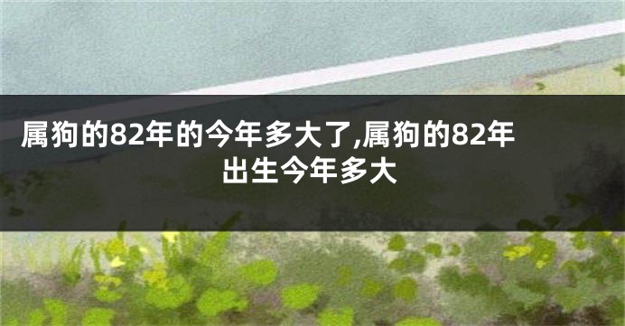 属狗的82年的今年多大了,属狗的82年出生今年多大
