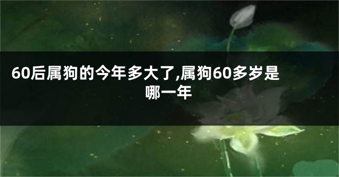 60后属狗的今年多大了,属狗60多岁是哪一年