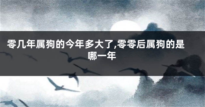 零几年属狗的今年多大了,零零后属狗的是哪一年