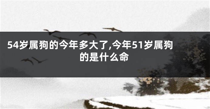 54岁属狗的今年多大了,今年51岁属狗的是什么命