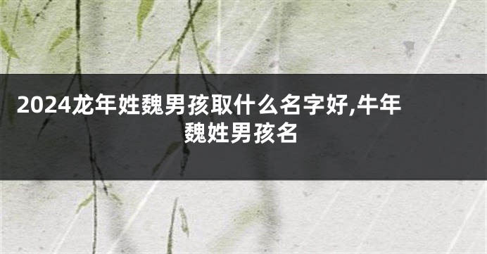 2024龙年姓魏男孩取什么名字好,牛年魏姓男孩名