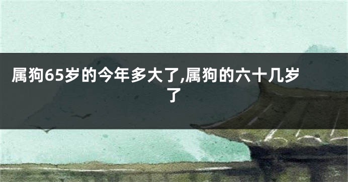 属狗65岁的今年多大了,属狗的六十几岁了