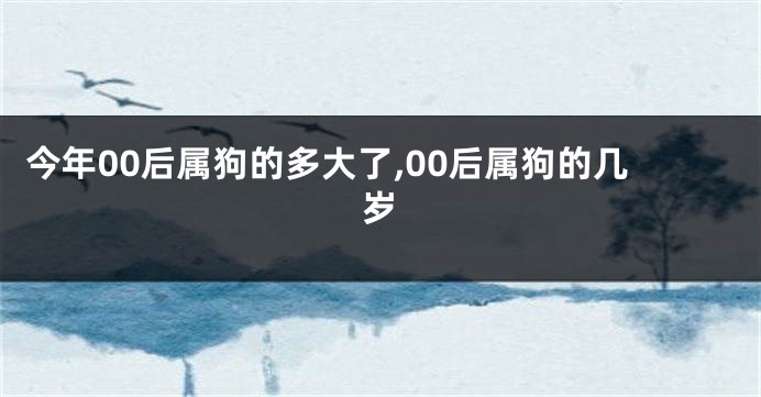 今年00后属狗的多大了,00后属狗的几岁