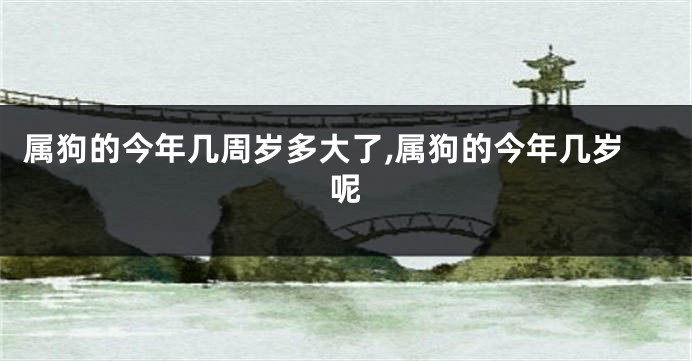 属狗的今年几周岁多大了,属狗的今年几岁呢