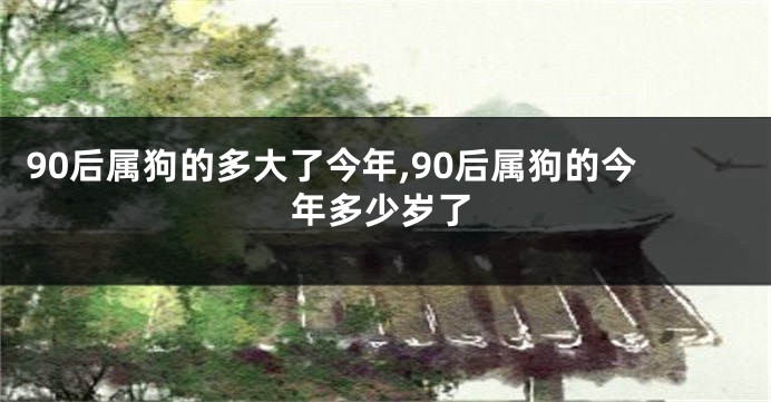 90后属狗的多大了今年,90后属狗的今年多少岁了