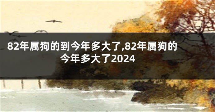 82年属狗的到今年多大了,82年属狗的今年多大了2024