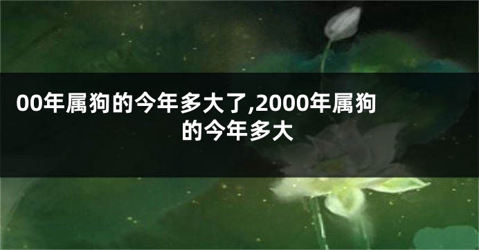 00年属狗的今年多大了,2000年属狗的今年多大