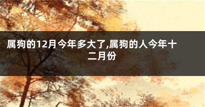 属狗的12月今年多大了,属狗的人今年十二月份