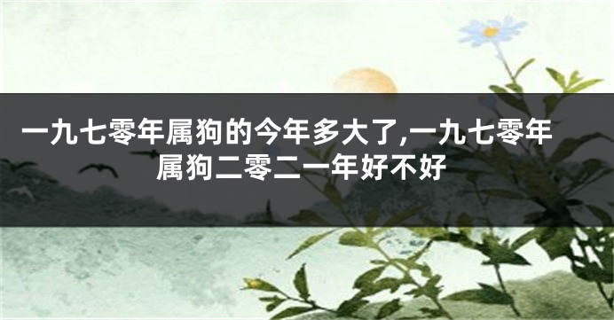 一九七零年属狗的今年多大了,一九七零年属狗二零二一年好不好