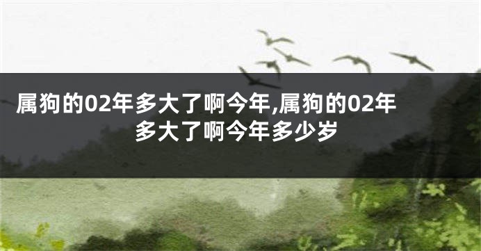 属狗的02年多大了啊今年,属狗的02年多大了啊今年多少岁