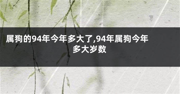 属狗的94年今年多大了,94年属狗今年多大岁数