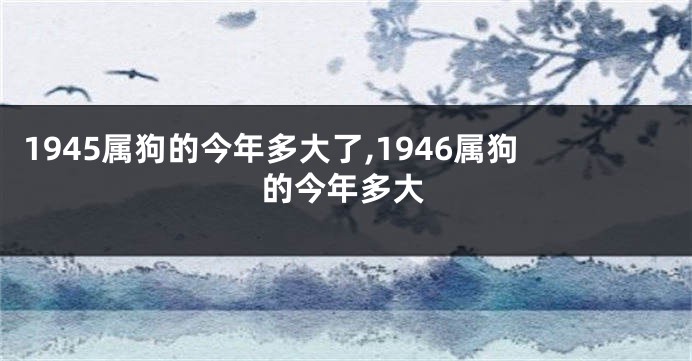 1945属狗的今年多大了,1946属狗的今年多大