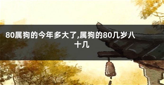 80属狗的今年多大了,属狗的80几岁八十几