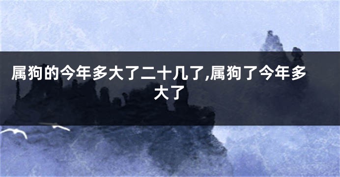 属狗的今年多大了二十几了,属狗了今年多大了